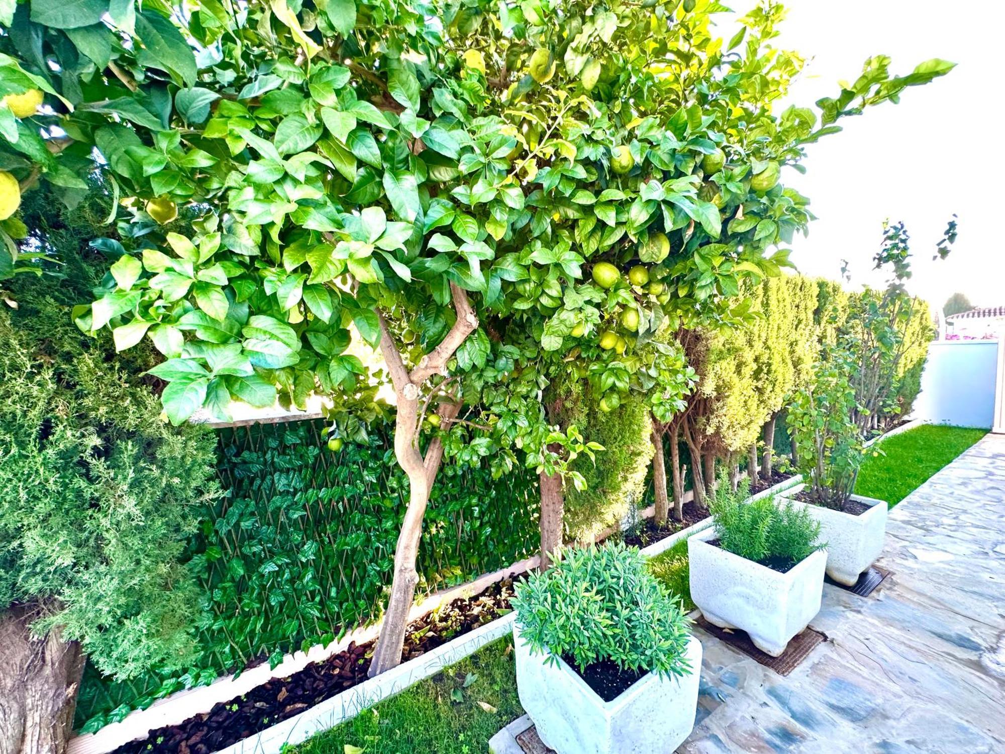 Villa Casacara Marbella Beachside Costabella -Spain Экстерьер фото